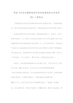 研读《切实加强耕地保护 抓好盐碱地综合改造利用》心得体会.docx