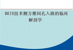 椎间孔入路的应用解剖.ppt