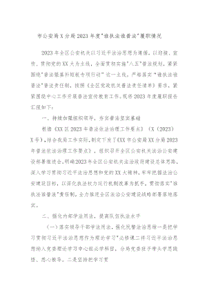 市公安局X分局2023年度“谁执法谁普法”履职情况.docx