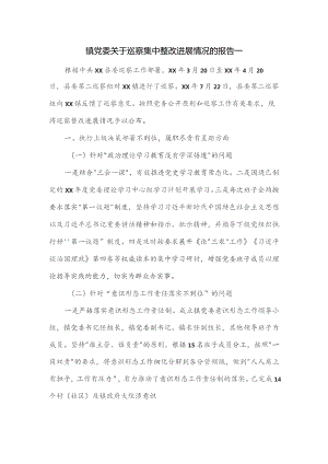 镇党委关于巡察集中整改进展情况的报告一.docx