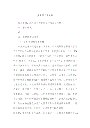 共青团工作总结.docx