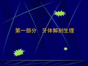 牙体解剖生理.ppt.ppt
