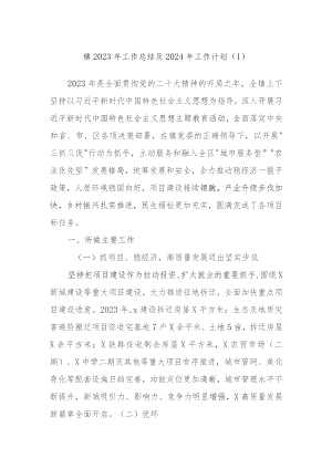 镇2023年工作总结及2024年工作计划范文材料.docx