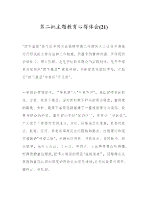 第二批主题教育心得体会（21）.docx