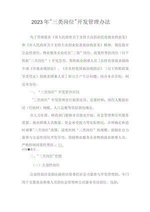 2023年“三类岗位”开发管理办法.docx