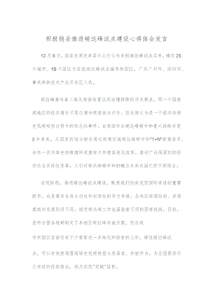 积极稳妥推进碳达峰试点建设心得体会发言.docx