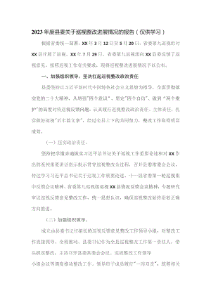 2023年县委关于巡视整改进展情况的报告.docx