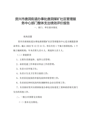 资兴市唐洞街道办事处唐洞煤矿社区管理服务中心部门整体支出绩效评价报告.docx