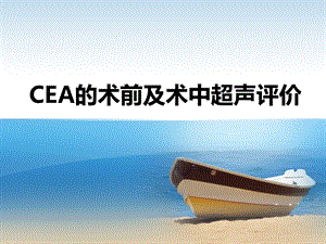 CEA的术前及术中超声评价.ppt