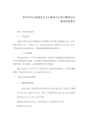资兴市东江街道社区卫生服务中心部门整体支出绩效评价报告.docx
