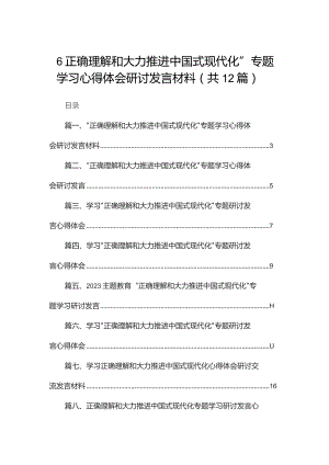 “正确理解和大力推进中国式现代化”专题学习心得体会研讨发言材料范文精选(12篇).docx