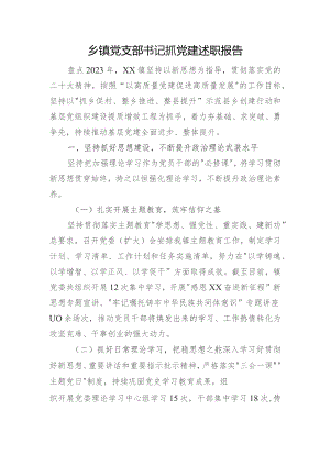 乡镇党支部书记抓党建述职报告.docx