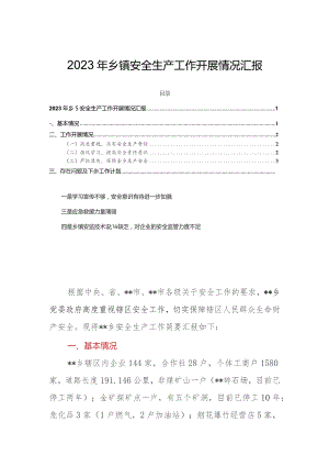 2023年乡镇安全生产工作开展情况汇报.docx