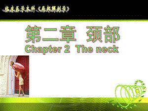 局部解剖颈部(学习资料).ppt