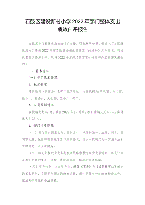 石鼓区建设新村小学2022年部门整体支出.docx