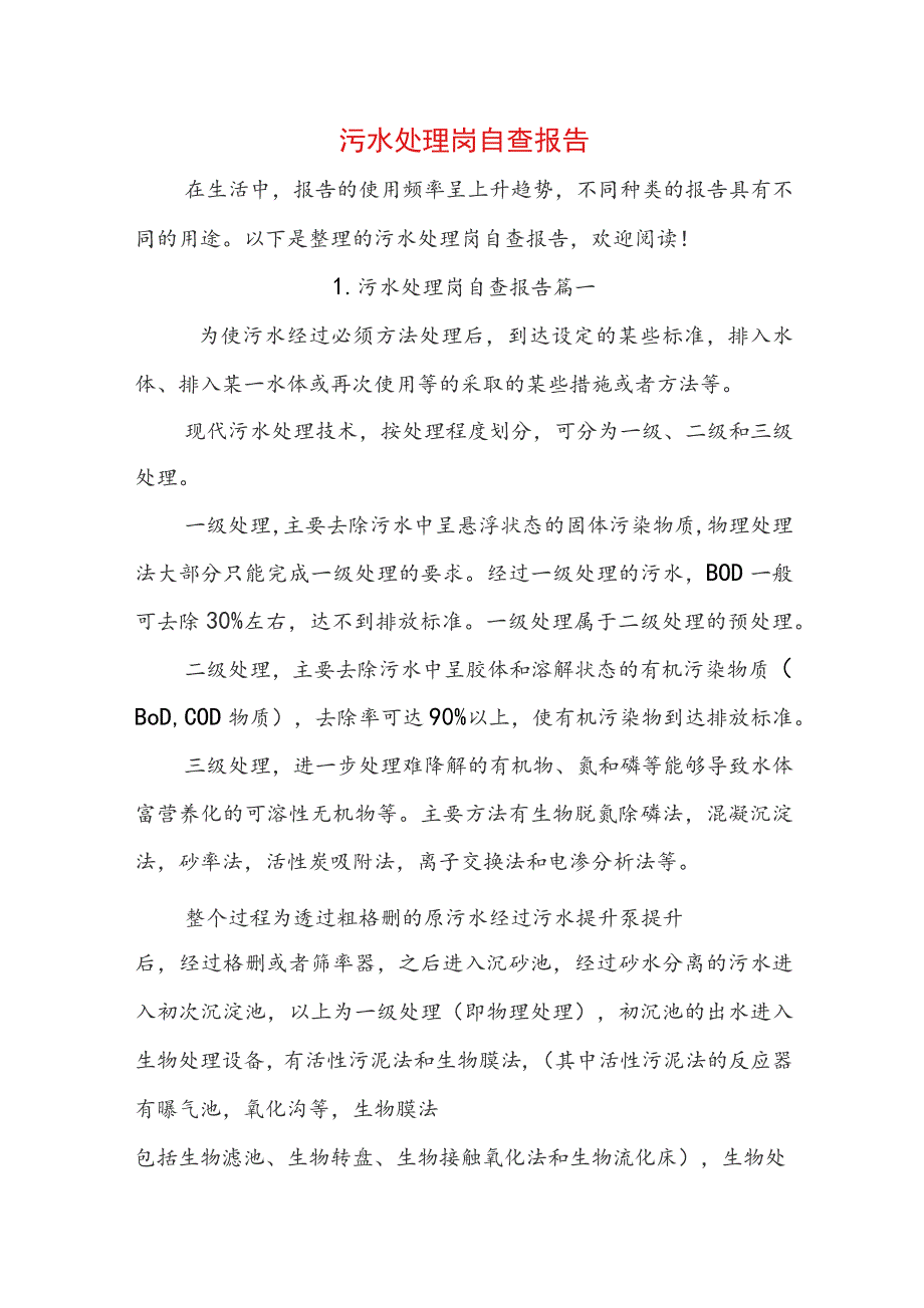 污水处理岗自查报告.docx