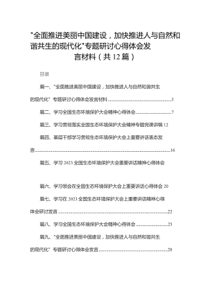 “全面推进美丽中国建设加快推进人与自然和谐共生的现代化”专题研讨心得体会发言材料12篇供参考.docx