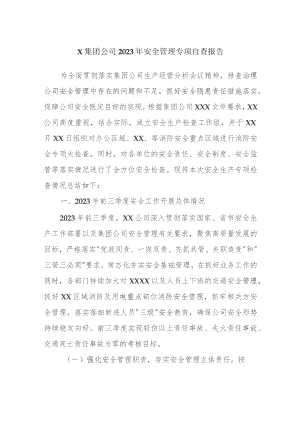 X集团公司2023年安全管理专项自查报告.docx