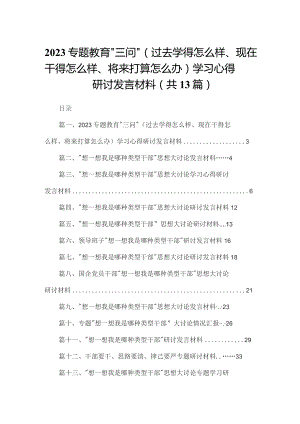 专题教育“三问”（过去学得怎么样、现在干得怎么样、将来打算怎么办）学习心得研讨发言材料【13篇精选】供参考.docx