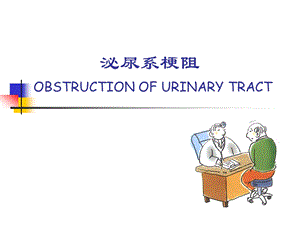 泌尿系梗阻的诊断与治疗 必尿科.ppt