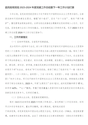 县民政局党组2023-2024年度党建工作总结暨下一年工作计划打算.docx