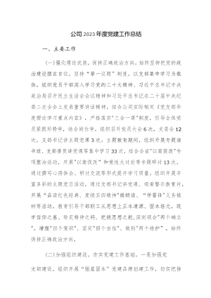 公司2023年度党建工作总结参考范文.docx