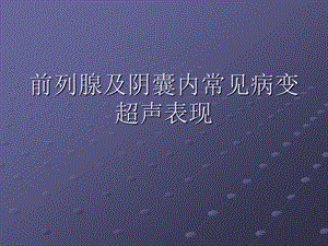 前列腺等超声诊断.ppt