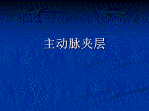 主动脉夹层动脉瘤.ppt