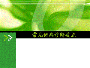 常见猪病诊断要点.ppt