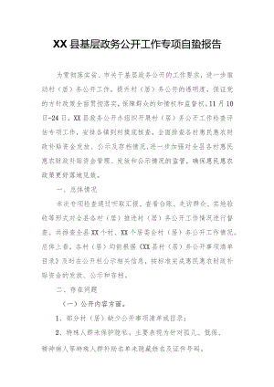 XX县基层政务公开工作专项自查报告.docx