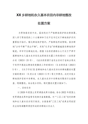 XX乡耕地和永久基本农田内非耕地整改处置方案.docx