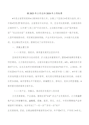 镇2023年工作总结2024年工作打算.docx