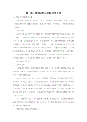 大一新生军训总结小标题范文5篇.docx