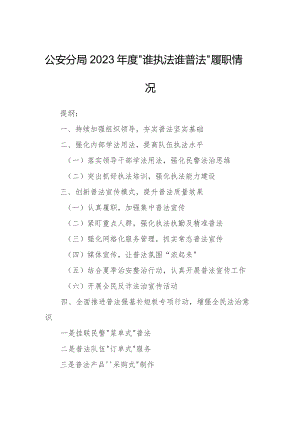 公安分局2023年度“谁执法谁普法”履职情况.docx