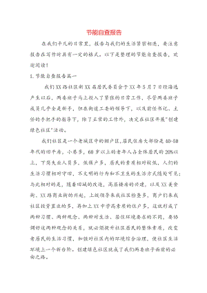 节能自查报告.docx
