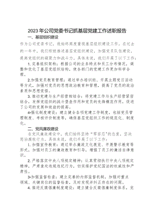 2023年公司党委书记抓基层党建工作述职报告.docx