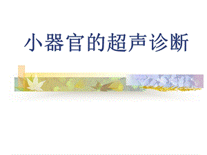 小器官的超声诊断.ppt