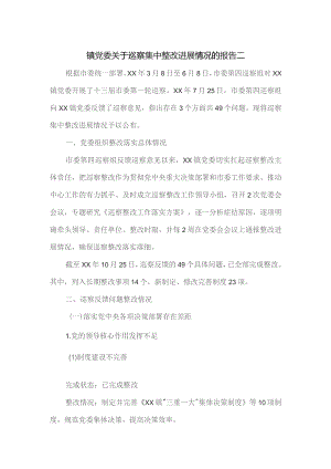 镇党委关于巡察集中整改进展情况的报告二.docx