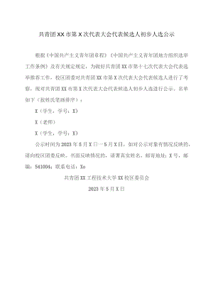 共青团XX市第X次代表大会代表候选人初步人选公示（2023年）.docx