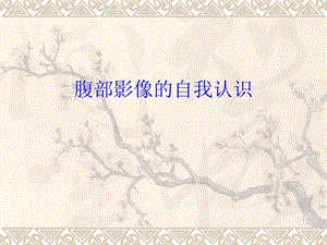 腹部影像的自我认识.ppt
