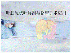 肝脏尾状叶图文.ppt