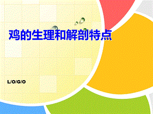 鸡的生理和解剖特点.ppt