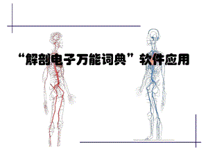 解剖电子字典.ppt