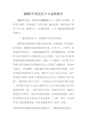 2023年度县长个人述职报告.docx