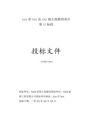美丽乡村建设项目土地整理项目II标段农田水利投标文件.docx