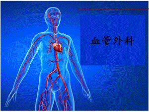 血管穿刺点.ppt
