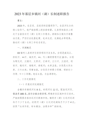 2023年基层乡镇河（湖）长制述职报告3篇.docx