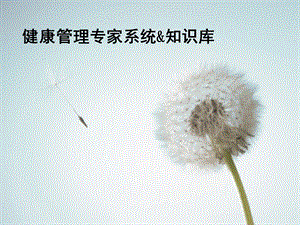 健康管理专家系统&知识库ppt.ppt