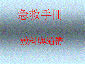 first aid 安全急救手册.ppt