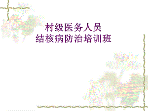 乡村级结核病防治培训.ppt